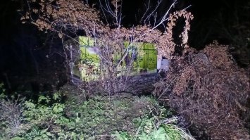 Вантажівка врізалась у дерево: водію стало недобре