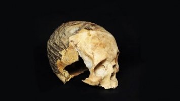 Вчені розкрили таємницю стародавніх черепів, покритих асфальтом