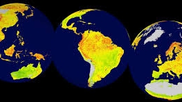 Вчені створили карту регіонів, які найбільше постраждають від зміни клімату