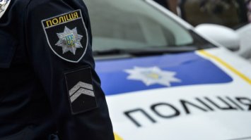 Вдарив поліцейського, а тепер – під домашнім арештом очікує суду