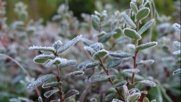 Від -5 морозу до +22 тепла: синоптики попередили про різкі перепади погоди