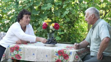 Вирощують 150 сортів винограду — з різних куточків України 