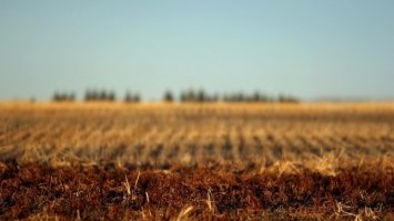 Вісім гектарів землі повернули громаді 