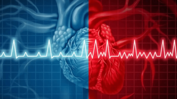 Як прожити довше: звички, які руйнують здоров’я серця