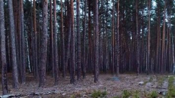 Застрелив на полюванні: поліцейські встановлюють обставини загибелі жителя Рівненщини