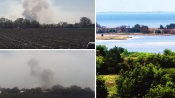 Згоріти чи втопитися: на Херсонщині падають ліси, окупанти не дають гасити