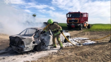 Згорів разом з автомобілем