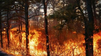 Зміна клімату знищує дві країни Європи