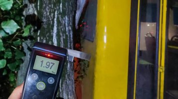 «Зупинило» дерево: п'яний перехожий сів за кермо маршрутки і поїхав
